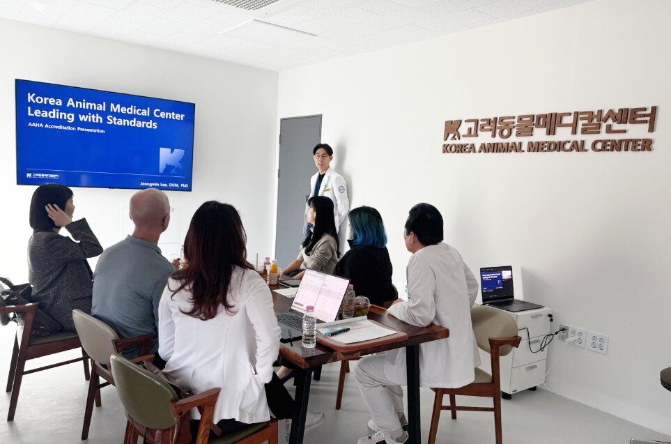 본문 이미지 - 고려동물메디컬센터에 방문해 심사하는 AAHA-KVMA 인증 평가단(고려동물메디컬센터 제공) ⓒ 뉴스1