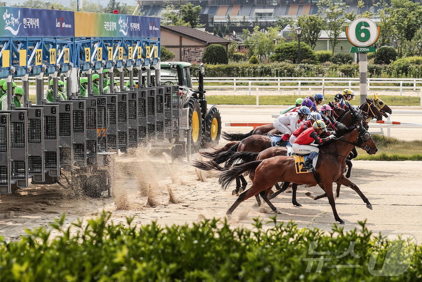 본문 이미지 - 렛츠런파크 서울 경주 출발 장면. (한국마사회 제공) ⓒ News1 