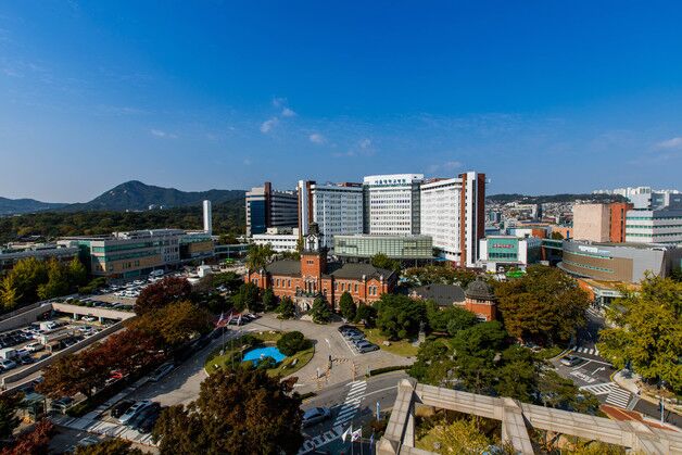 서울대병원, 美 매사추세츠대와 희귀 신경질환 치료제 개발 MOU