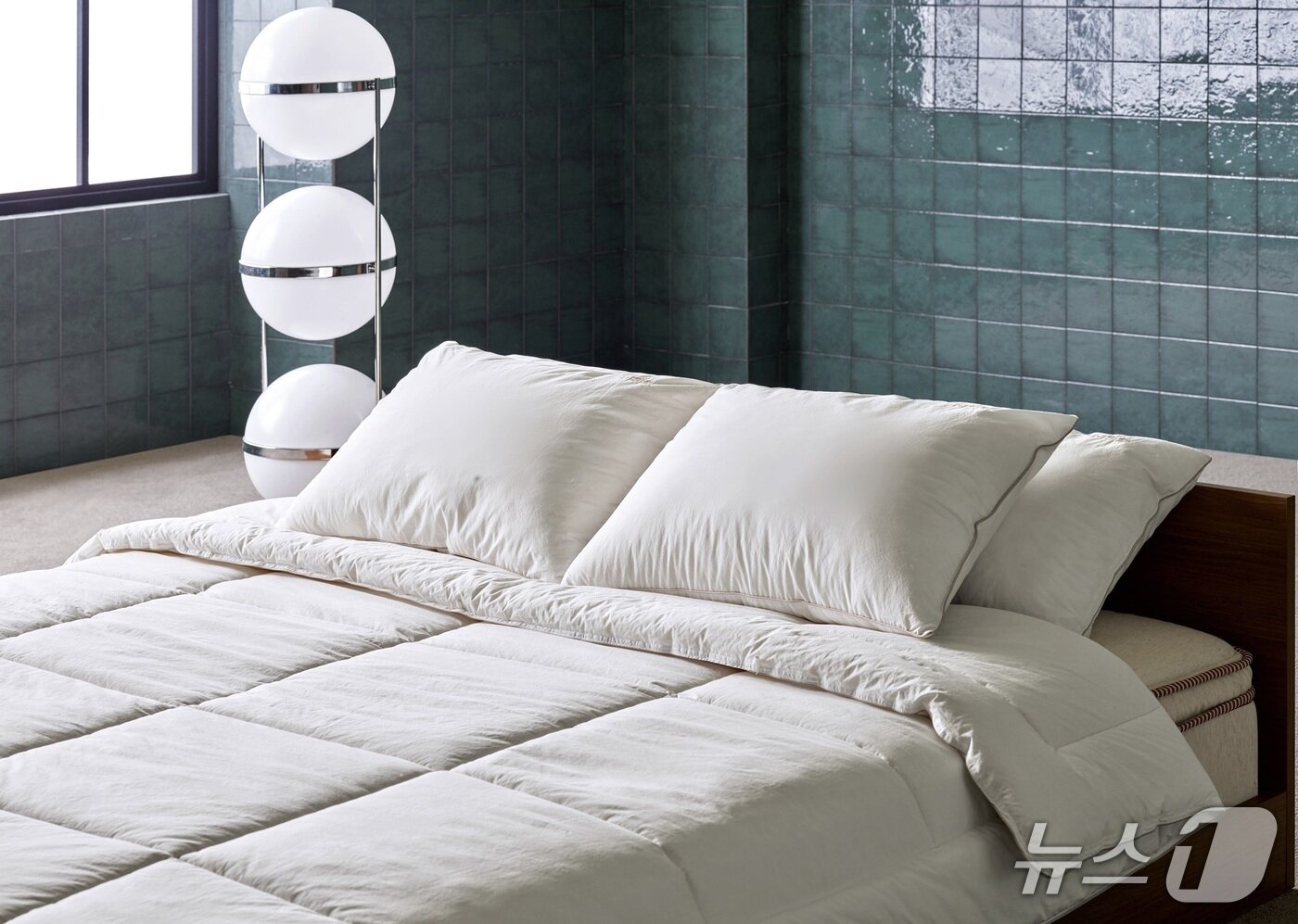 본문 이미지 - N32 아이슬란드 씨셀 화이버 필로우 &#40;N32 제공&#41;