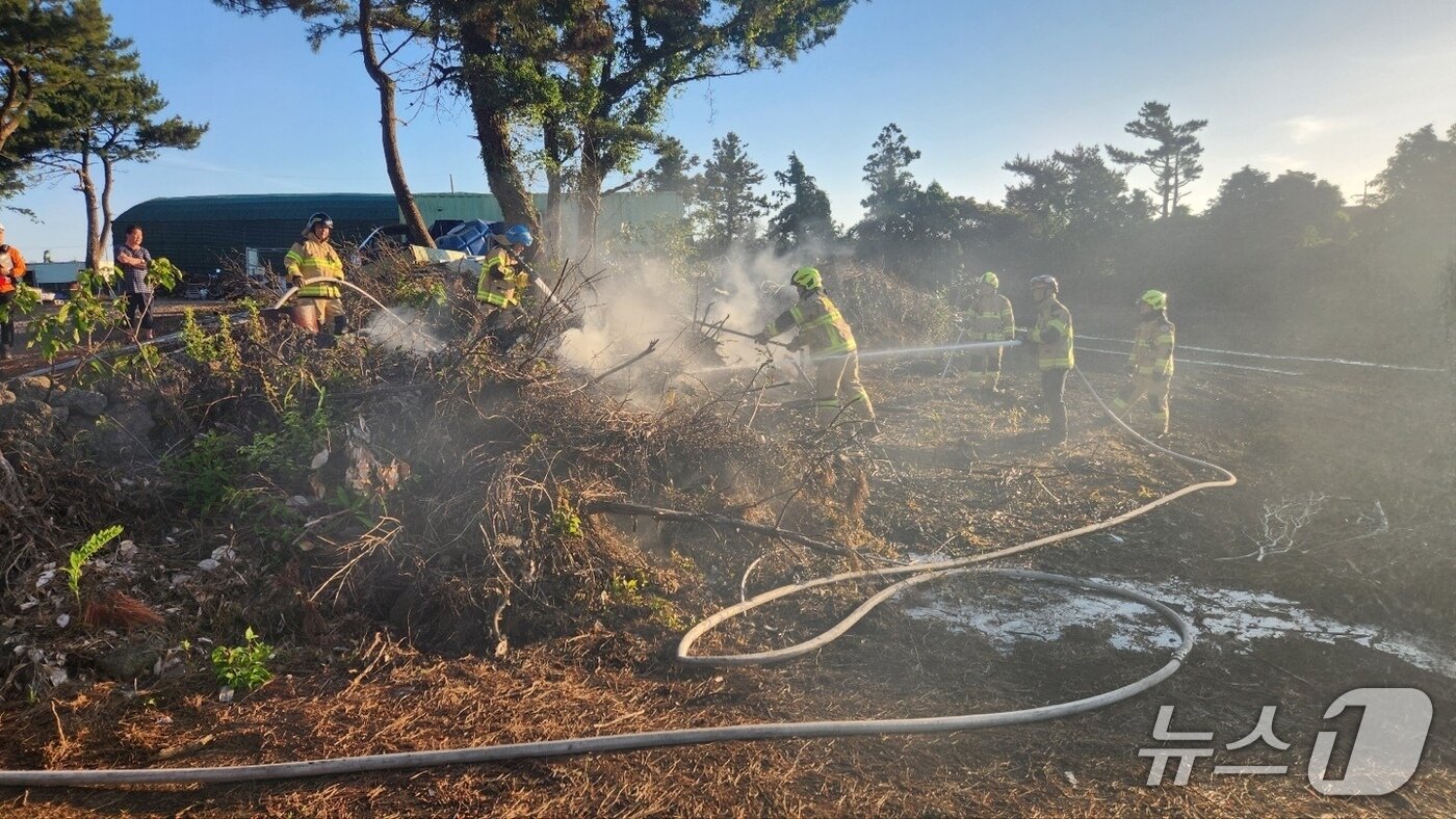 본문 이미지 - 지난 5일 조천읍 과수원 방풍림 화재 현장.(제주소방안전본부 제공. 재판매 및 DB 금지)