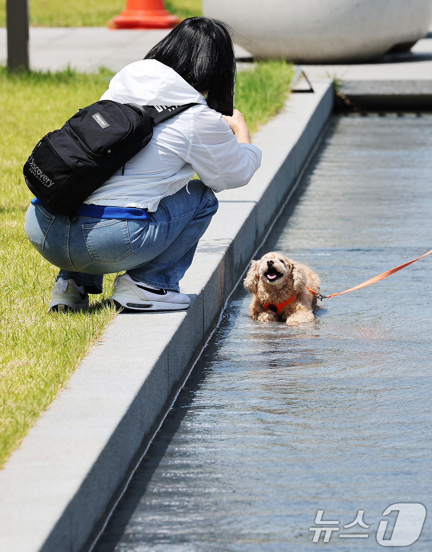 (서울=뉴스1) 장수영 기자 = 현충일 연휴 첫인 6일 오후 서울 종로구 광화문 광장에서 강아지가 흐르는 물에 앉아 더위를 식히고 있다. 2025.6.6/뉴스1