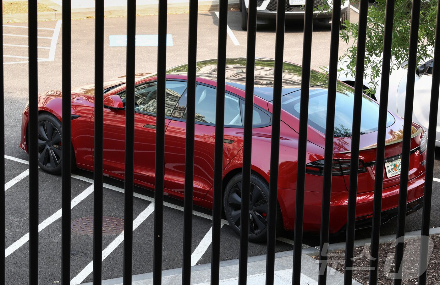 본문 이미지 - 도널드 트럼프 미국 대통령이 올해 초 구매한 테슬라 차량이 6일&#40;현지시간&#41; 미국 워싱턴DC 백악관과 아이젠하워 행정부청사 건물 사이의 웨스트 이그제큐티브 애비뉴에 주차돼 있다. 2025.06.06 ⓒ 로이터=뉴스1 ⓒ News1 류정민 특파원