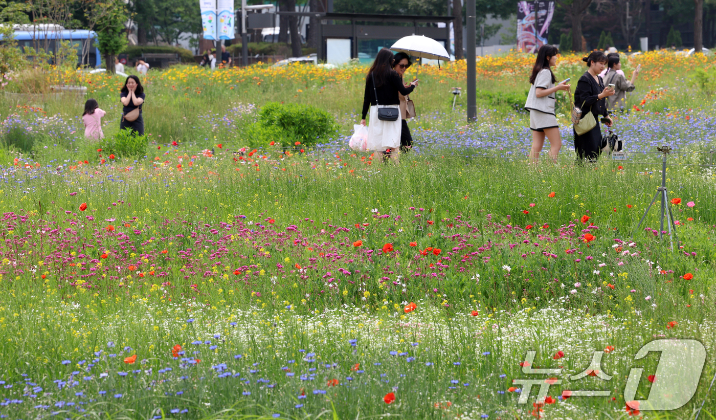 (서울=뉴스1) 김명섭 기자 = 초여름 날씨를 보인 7일 서울 종로구 열린송현공원에서 시민들이 꽃밭을 걸으며 나들이를 하고 있다.기상청은 당분간 전국 대부분 지역의 낮 기온이 25 …