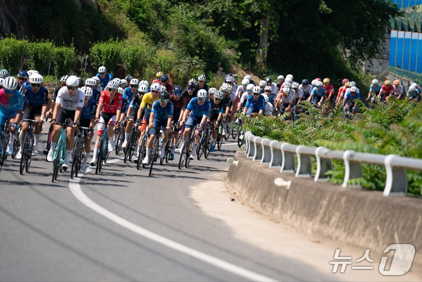 본문 이미지 - 7일 경남 남해군 일원에서 열린 '투르 드 경남 2025' 모습.(경남도 제공. 재판매 및 DB금지)