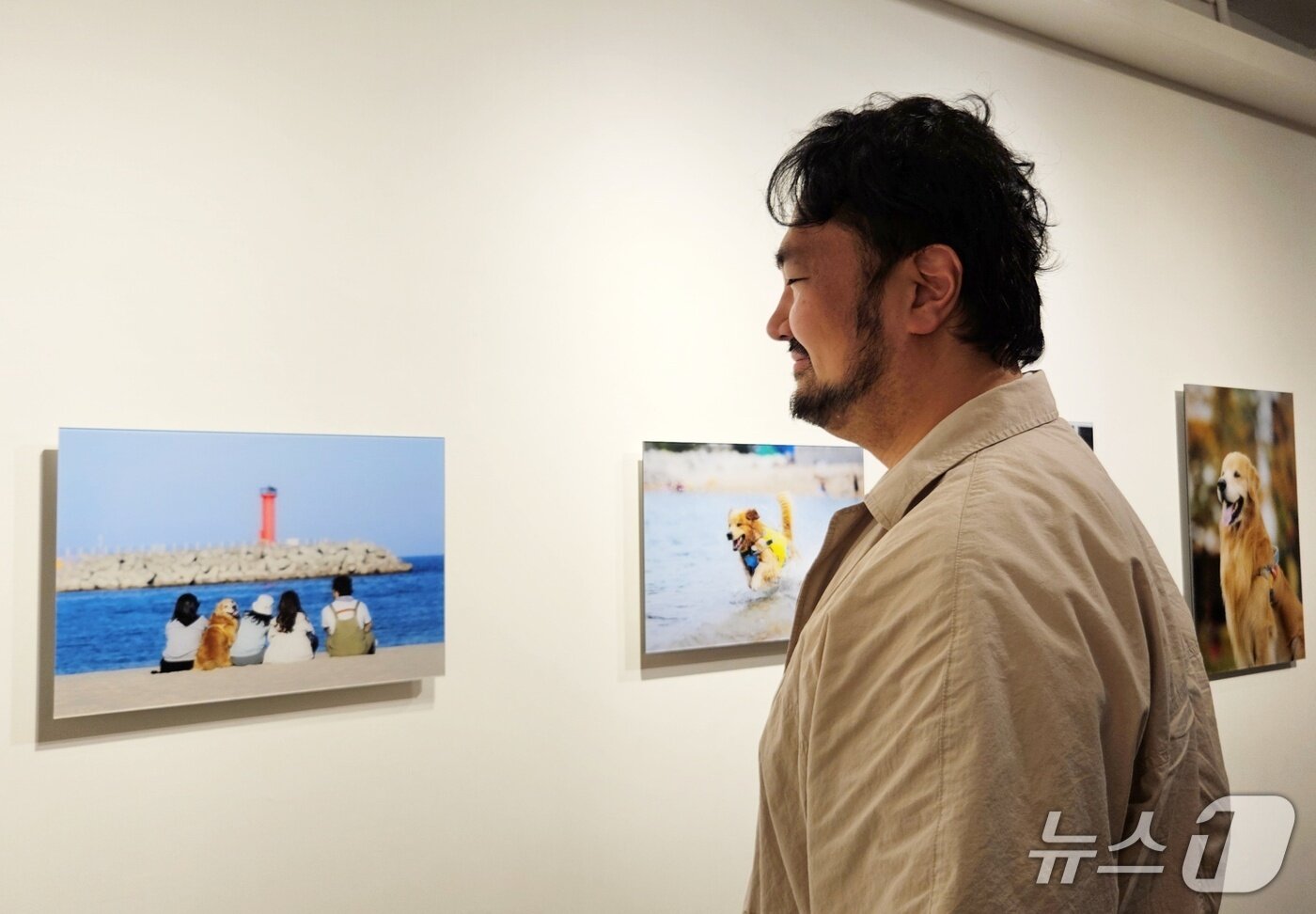 본문 이미지 - 배우 문정희 반려견 모습을 담은 금빛동행 사진전 전시장 내부 ⓒ 뉴스1