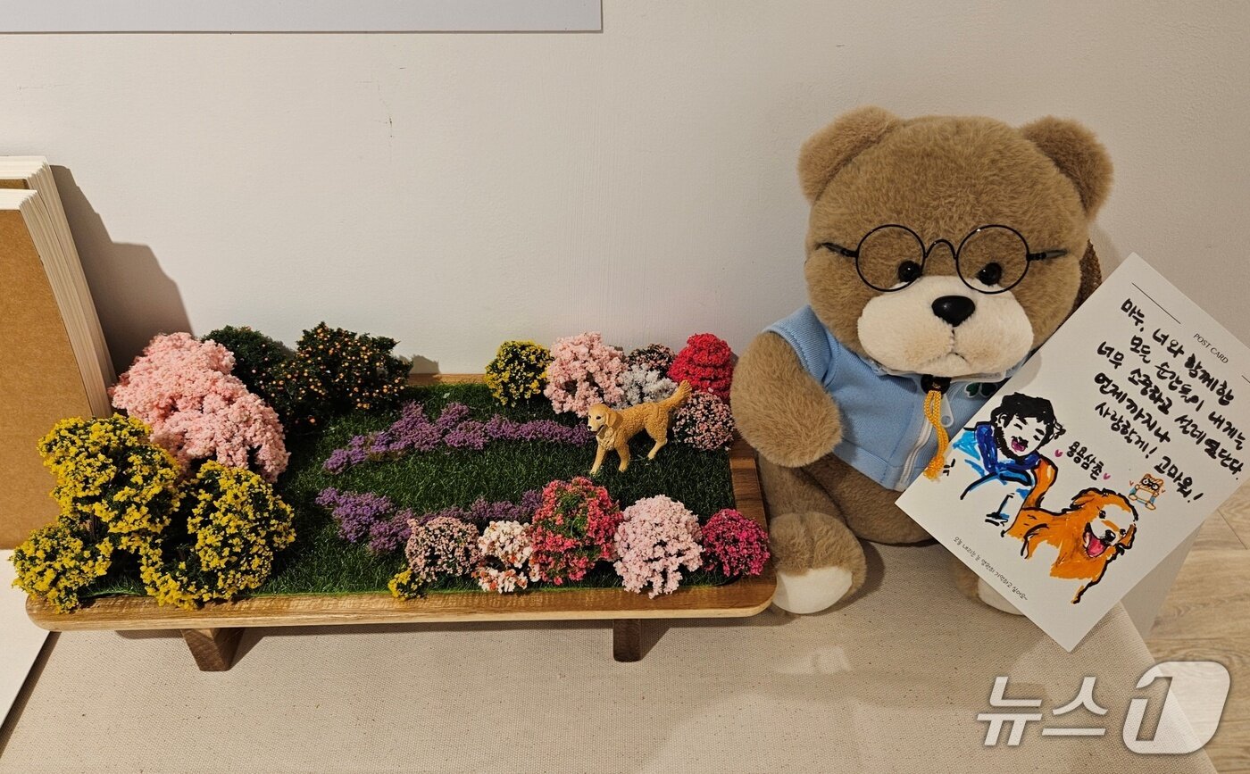 본문 이미지 - 배우 문정희 반려견 모습을 담은 금빛동행 사진전 전시장 내부 ⓒ 뉴스1