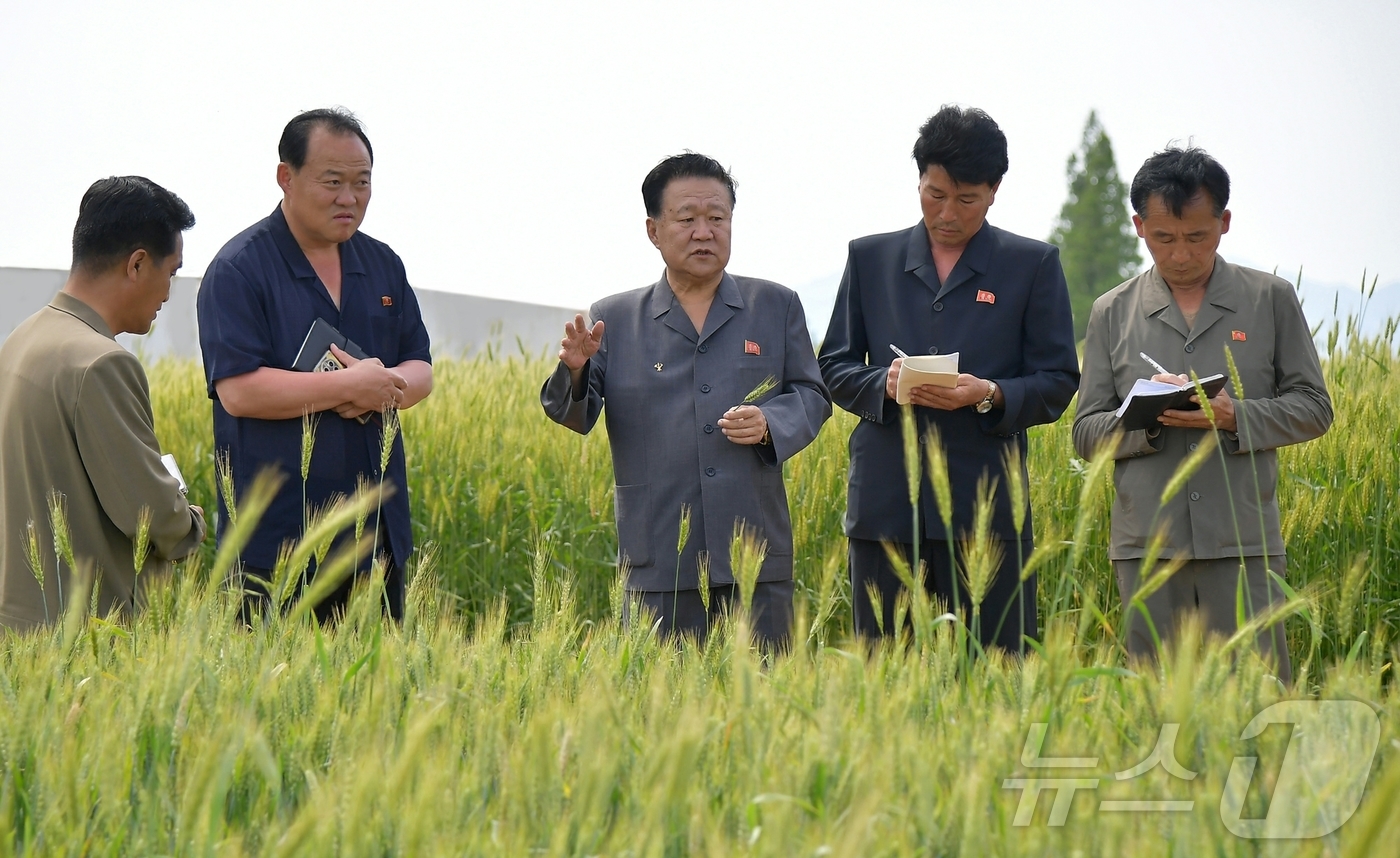 (평양 노동신문=뉴스1) = 북한 노동당 기관지 노동신문은 8일 최룡해 최고인민회의 상임위원장이 황해남도의 여러 부문 사업을 현지에서 료해(파악)했다고 보도했다. [국내에서만 사용 …