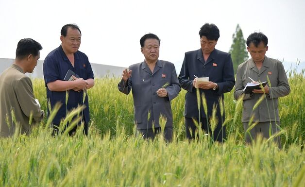 "증산 경쟁으로 끓는다"…당 결정 관철 독려 [데일리 북한]