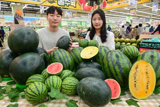 "제가 수박씨 잘 바를 수 있습니다"…일급 100만원 알바, 어디?