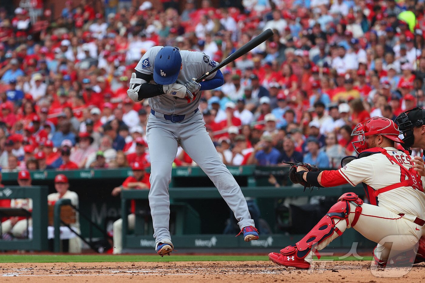 본문 이미지 - LA 다저스는 8일(한국시간) 열린 2025 메이저리그 세인트루이스 카디널스전에서 1-2로 졌다. ⓒ AFP=뉴스1