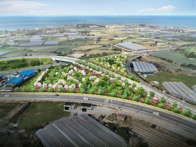 제주 애월읍 구엄교차로에 1.5ha '기후대응 도시숲' 조성된다