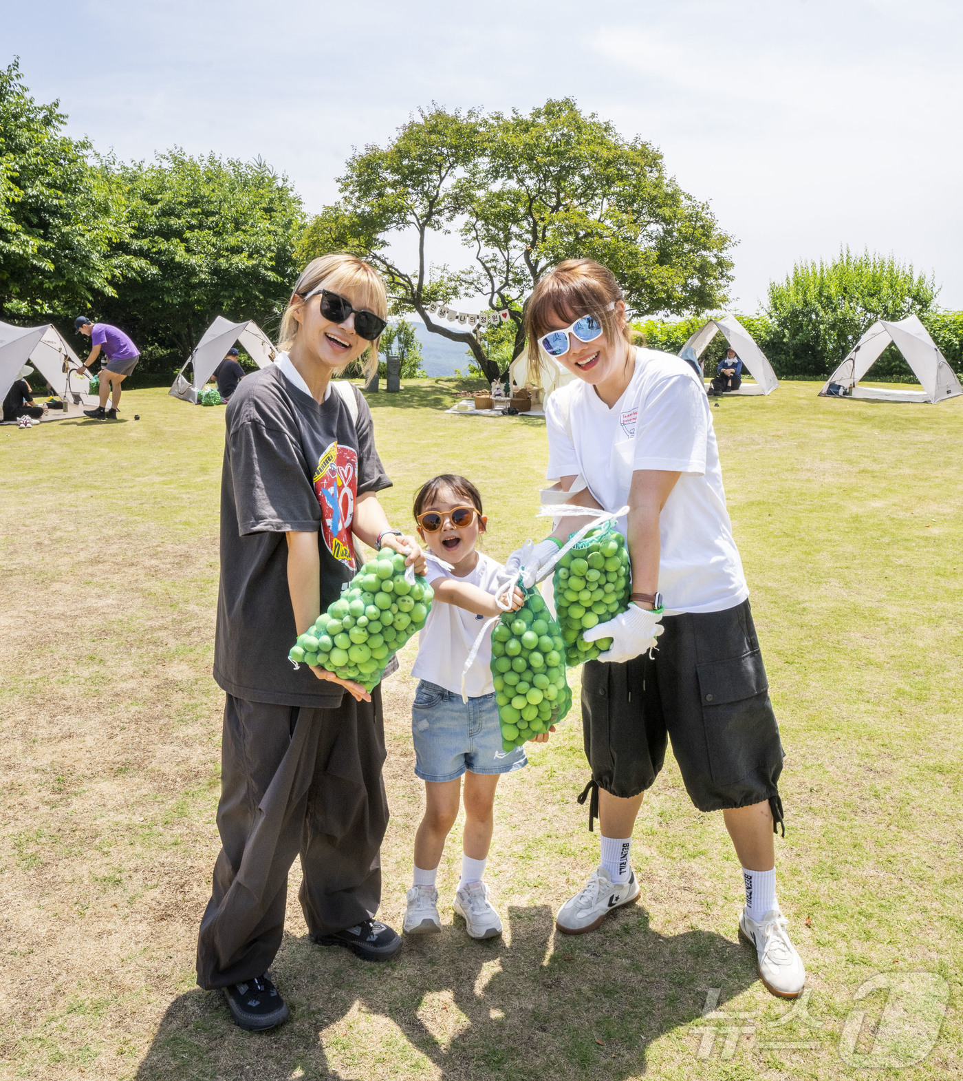 (서울=뉴스1) = 삼성물산 리조트부문(사장 정해린)이 운영하는 에버랜드가 지난 6일부터 8일까지 3일간 700여 그루의 매화나무가 가득한 하늘정원길에서 매실따기 이색 체험을 진행 …