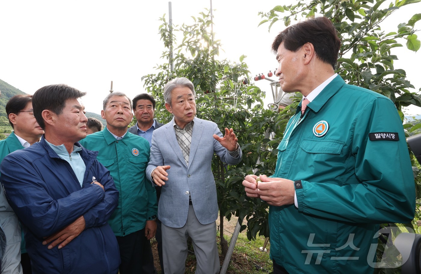 (서울=뉴스1) = 강호동 농협중앙회 회장이 지난 5일 경남 밀양 우박 피해 농가를 찾아 피해 농업인을 위로하고, 우박 피해상황 점검과 함께 여름철 재해 대응 현황을 살피고 있다. …