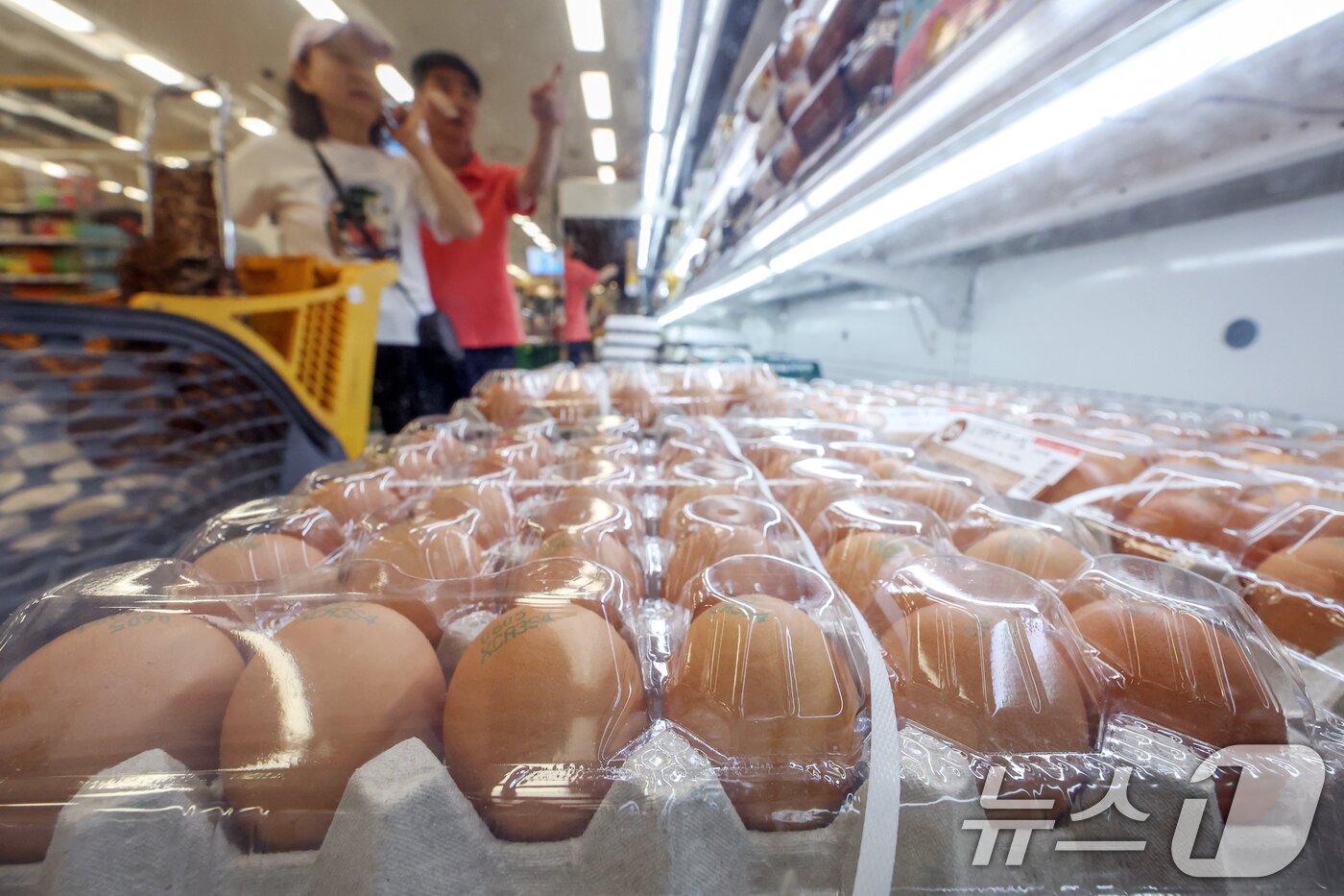본문 이미지 - 8일  서울 한 대형마트에서 시민들이 달걀을 고르고 있다. 2025.6.8/뉴스1 ⓒ News1 민경석 기자