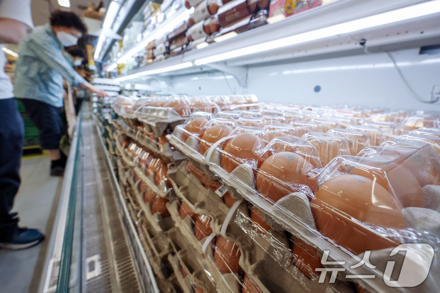 (서울=뉴스1) 민경석 기자 = 8일 한국농촌경제연구원(농경연)은 '농업관측 6월호' 보고서를 통해 오는 8월까지 석 달간 예측값을 발표하면서 이달 계란 산지 가격이 특란 10개에 …