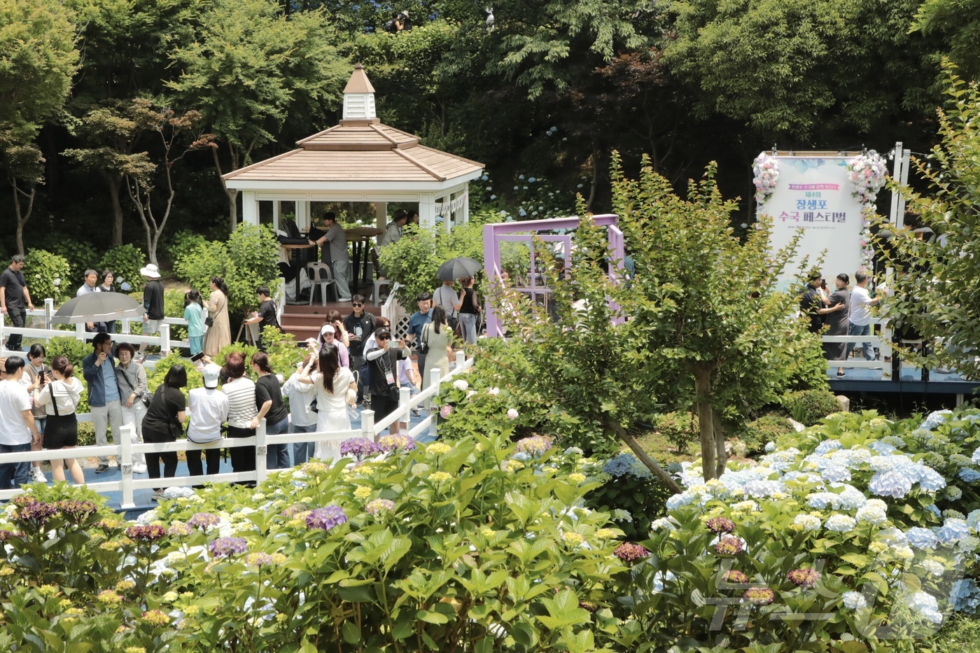 (울산=뉴스1) 김세은 기자 = 8일 울산 남구 장생포 고래문화마을 일원에서 ‘제4회 장생포 수국 페스티벌’이 열려 나들이객로 붐비고 있다. 2025.6.8/뉴스1