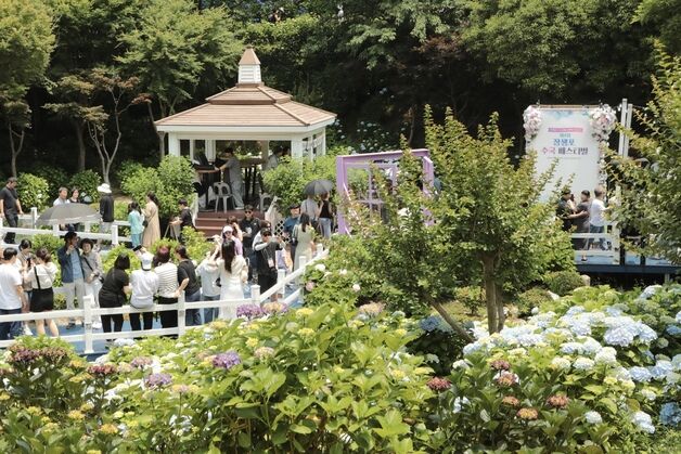 장생포 수국축제 '대박'…울산 남구 "40만 관광객·200억 경제효과"