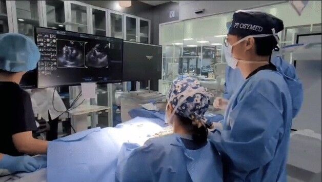 고려동물메디컬센터 강아지 심장병 수술 성과, 국제 학술지 등재