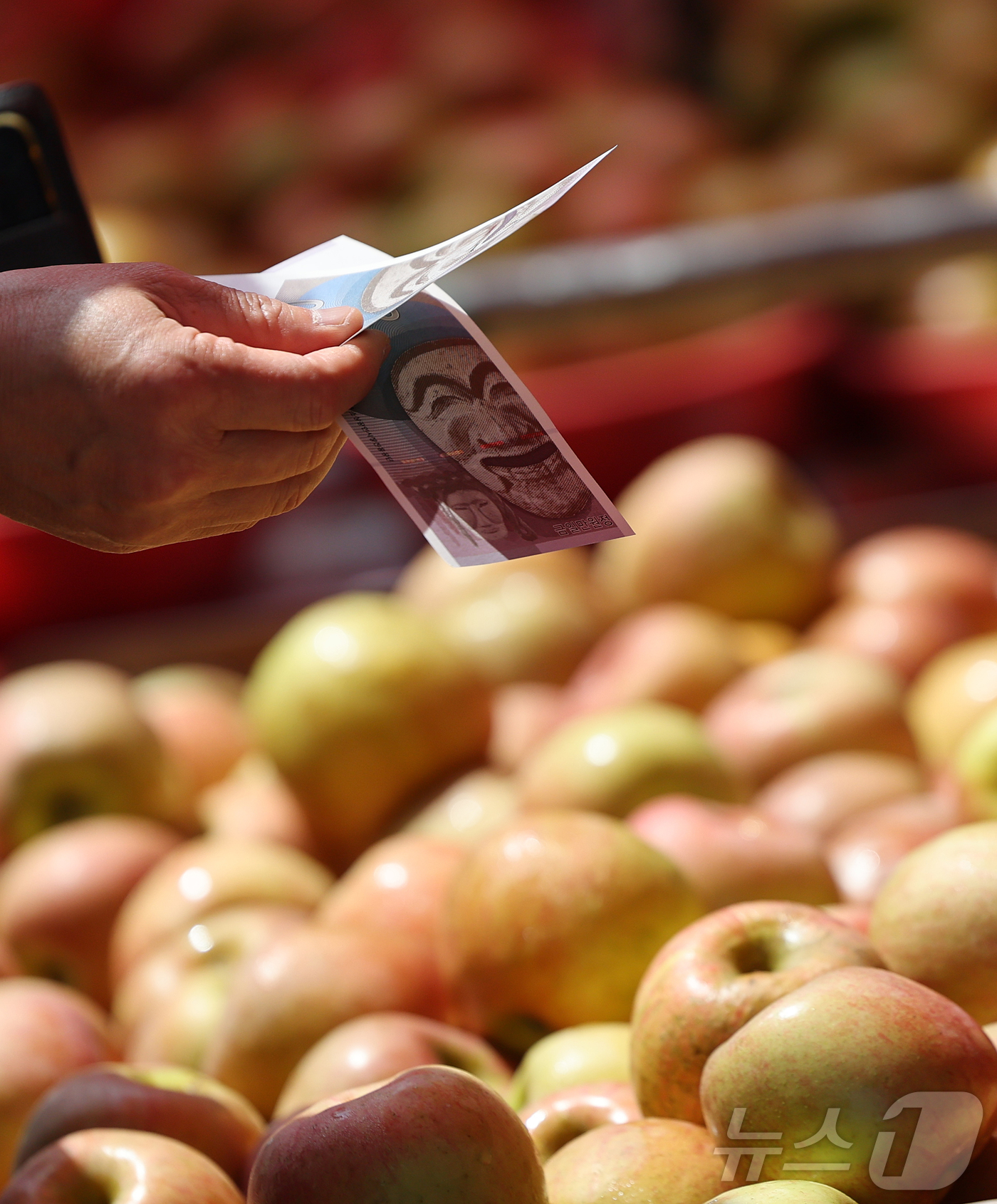 (서울=뉴스1) 오대일 기자 = 얼어붙은 내수 경기 활성화를 위한 2차 추가경정예산안 편성이 초읽기에 들어간 가운데 9일 오전 서울 동대문구 경동시장에서 시민들이 온누리상품권으로 …