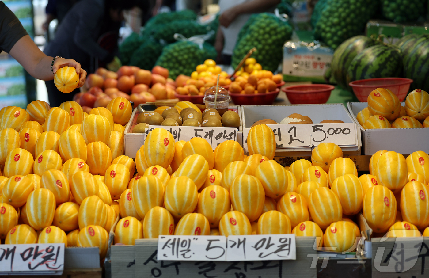 (서울=뉴스1) 오대일 기자 = 얼어붙은 내수 경기 활성화를 위한 2차 추가경정예산안 편성이 초읽기에 들어간 가운데 9일 오전 서울 동대문구 경동시장에서 시민들이 장을 보고 있다. …