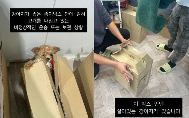 많이 본 뉴스