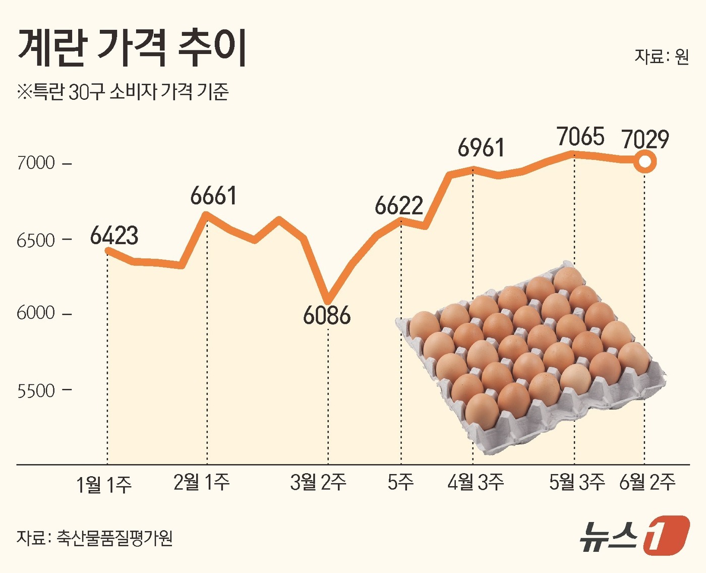 (서울=뉴스1) 김초희 디자이너 = 9일 축산물품질평가원 축산유통정보에 따르면 6월 2주 계란 한판 특란 30구 기준 평균 소비자가격은 7029원을 기록했다. 계란 한 판 가격이 …