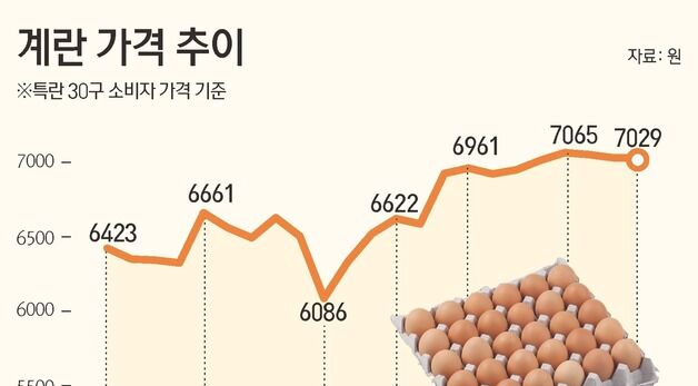 [그래픽] 계란 가격 추이