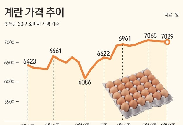 [그래픽] 계란 가격 추이