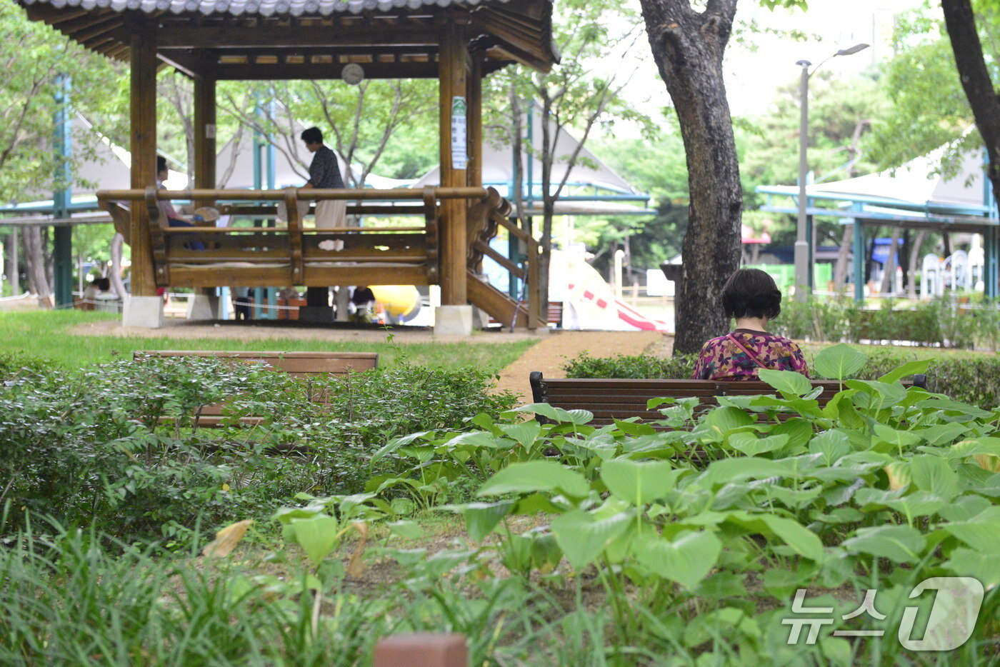 본문 이미지 - 9일 대구 수성구 한 공원에서 시민들이 휴식을 취하고 있다.2025.6.9/뉴스1 ⓒ News1 이성덕 기자