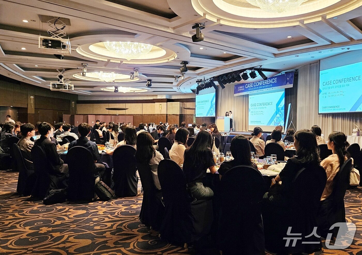 본문 이미지 - &#39;제3회 VIP동물의료센터 케이스 콘퍼런스&#39;가 9일 서울 강남구 호텔리베라 청담에서 열렸다. ⓒ 뉴스1