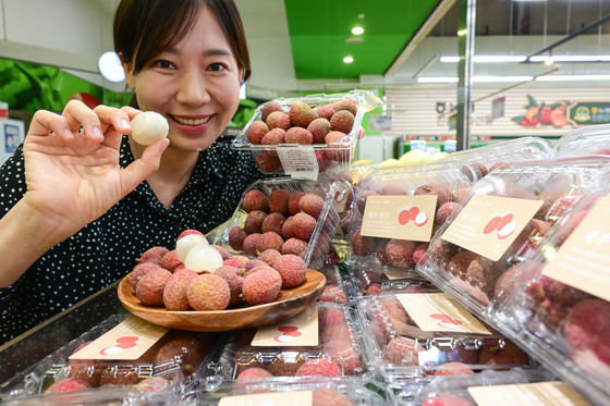 '충주산 리치 팔아요'…충주시, 신소득 작물 발굴·육성