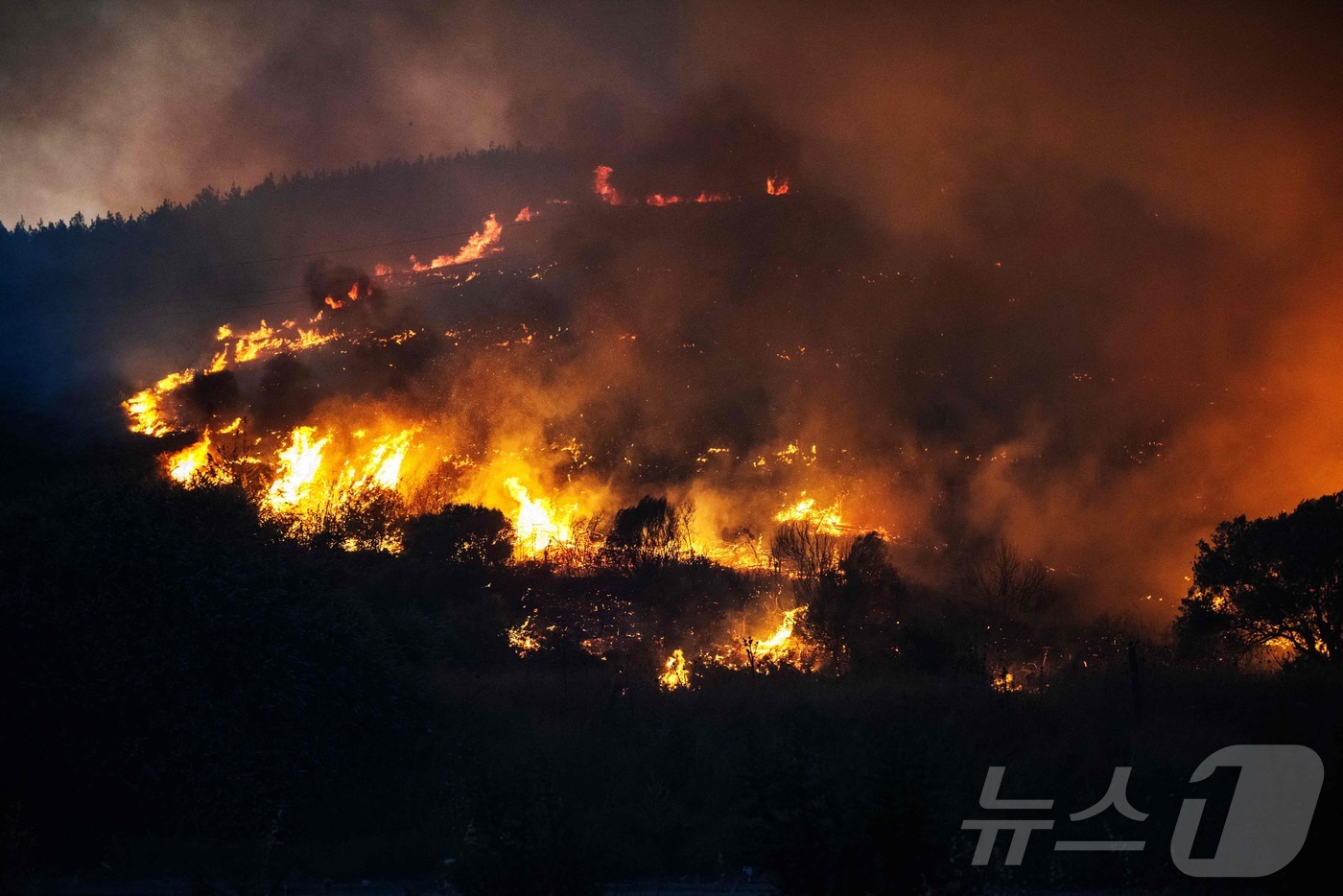 (이즈미르 AFP=뉴스1) 김경민 기자 = 튀르키예 이즈미르주 세페리히사르 지역에서 시작된 산불로로 인해 5만 명 이상의 주민들이 대피했다. 2025.6.30ⓒ AFP=뉴스1