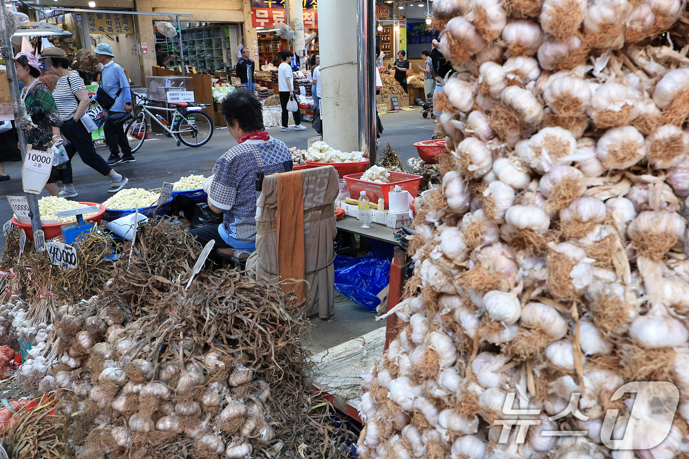(서울=뉴스1) 박정호 기자 = '소상공인 보호 및 지원에 관한 법률 시행령' 개정안이 국무회의에서 의결된 1일 서울 동대문구 고산자로 경동시장에서 상인이 손님을 기다리며 마늘을 …