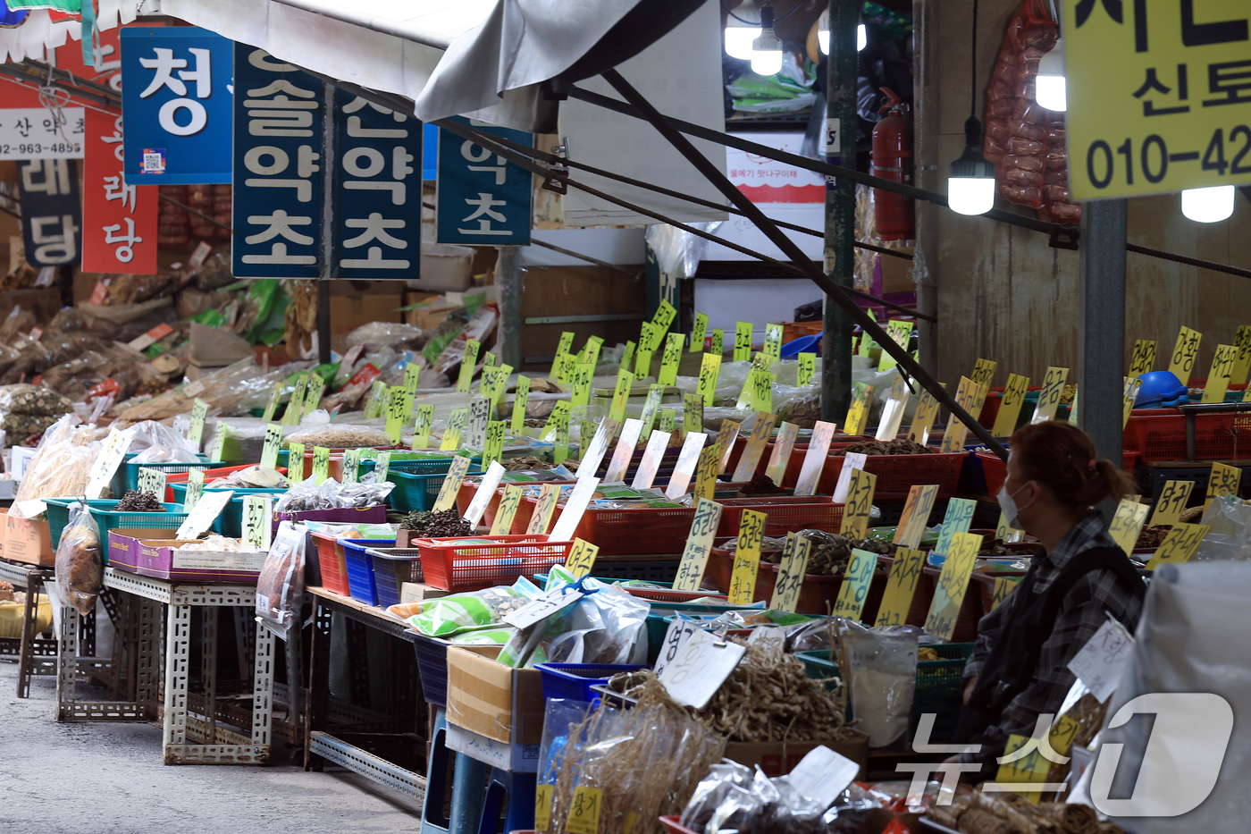 (서울=뉴스1) 박정호 기자 = '소상공인 보호 및 지원에 관한 법률 시행령' 개정안이 국무회의에서 의결된 1일 서울 동대문구 고산자로 경동시장에서 상인들이 손님을 기다리고 있다. …