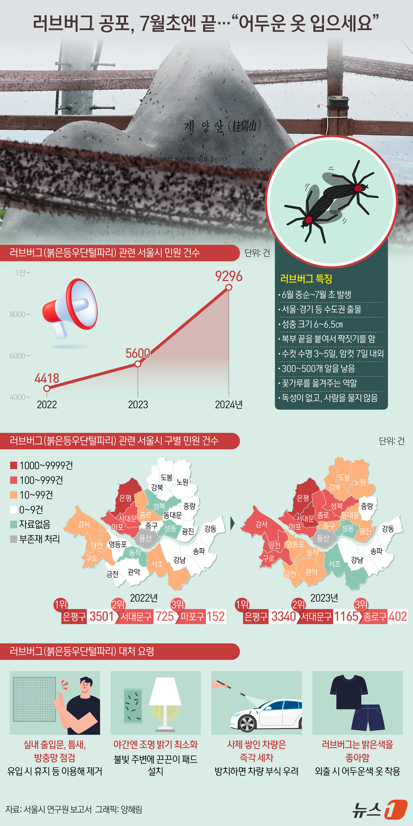 (서울=뉴스1) 양혜림 디자이너 = 여름 불청객 '러브버그'(붉은등우단털파리)가 올해도 기승을 부리며 시민들이 극심한 스트레스를 호소하고 있다. 사람을 직접 공격하지는 않지만, 많 …