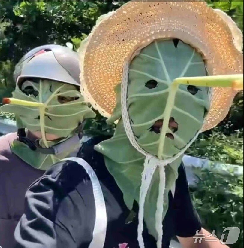 본문 이미지 - 연잎 마스크를 클로즈업한 사진 - SCMP 갈무리 