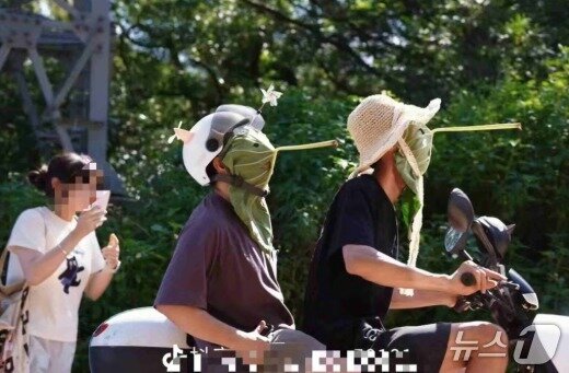 본문 이미지 - 연잎의 줄기가 마치 피노키오의 코를 연상시킨다 - SCMP 갈무리