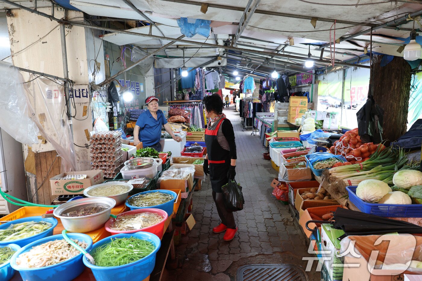 본문 이미지 - 지난 1일 광주 남구 주월동  무등시장에 위치한 채소가게에서 상인들이 장사하고 있다. 2025.7.1/뉴스1 ⓒ News1 박지현 기자