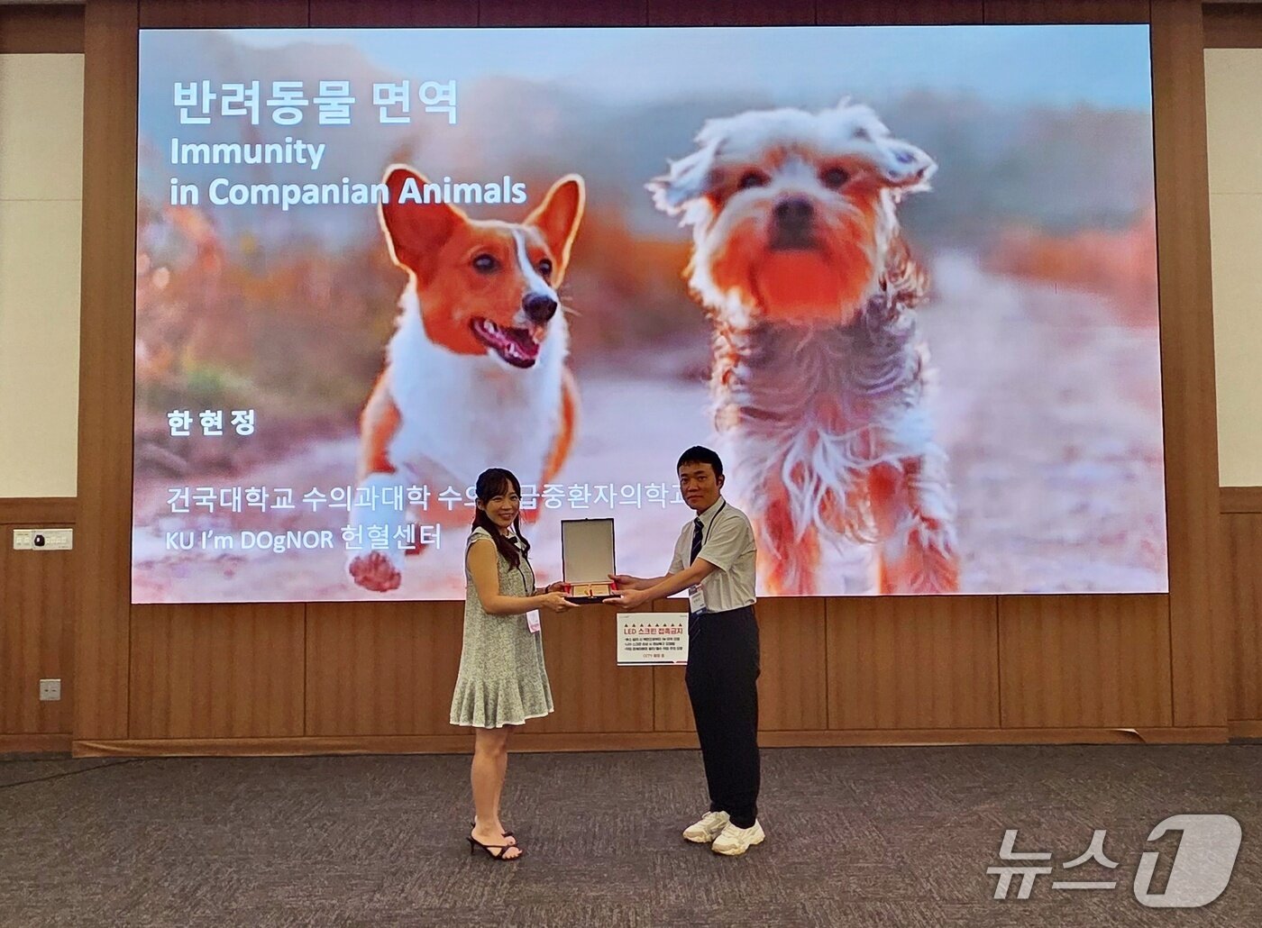 본문 이미지 - 한현정 건국대 교수가 6월 29일 부산수의컨퍼런스에서 감사패를 받고 있다. ⓒ 뉴스1