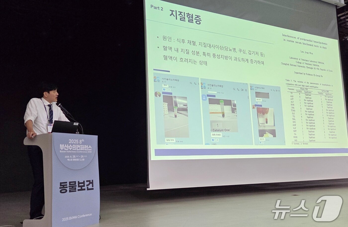 본문 이미지 - 이종원 리본동물의료센터 원장이 6월 29일 부산수의컨퍼런스에서 강의를 하고 있다. ⓒ 뉴스1