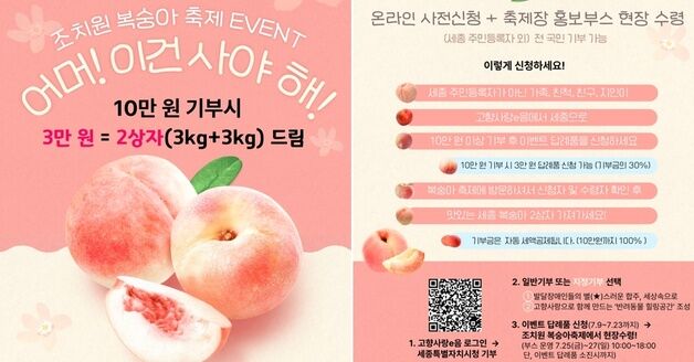 "세종에 기부하고 복숭아 받아요" 선착순 200명 대상 이벤트