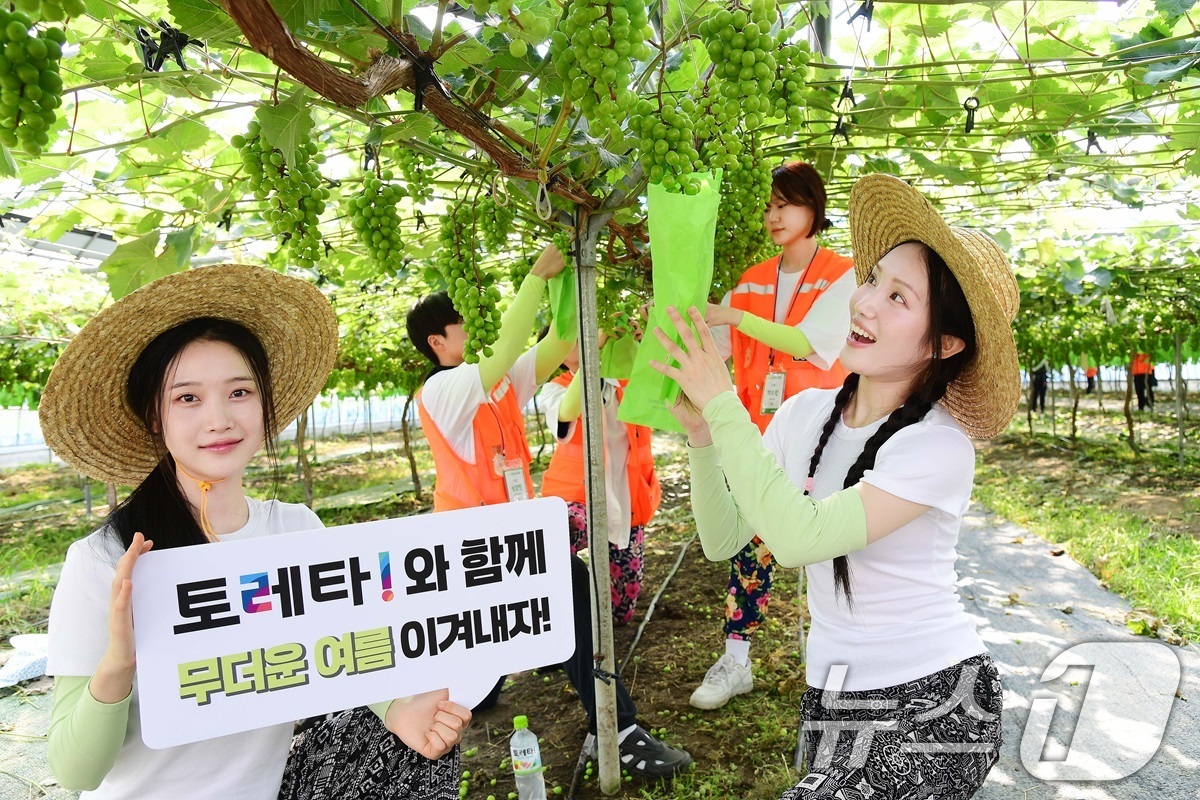 (서울=뉴스1) = 코카-콜라사의 '토레타!'가 대학생 농촌봉사단체에 음료를 지원하고 있다고 10일 밝혔다.지난 9일 경기 안성시 농촌봉사활동 현장에서 모델들이 포즈를 취하고 있다 …