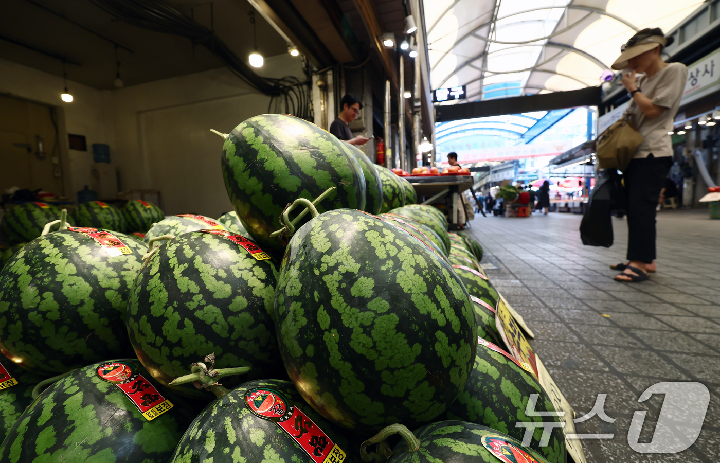 (서울=뉴스1) 김민지 기자 = 짧은 장마와 기록적인 폭염으로 여름 제철 과채류 가격이 큰 폭으로 오르고 있는 가운데 10일 서울의 한 전통시장에서 시민들이 수박을 고르고 있다.이 …