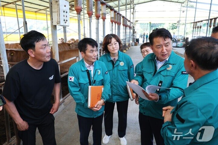 본문 이미지 - 김영환 충북지사가 한 축산농가를 방문해 현장을 둘러보며 폭염에 따른 애로사항을 수렴하고 있다. (충북도 제공, 재판매 및 DB금지)/뉴스1 