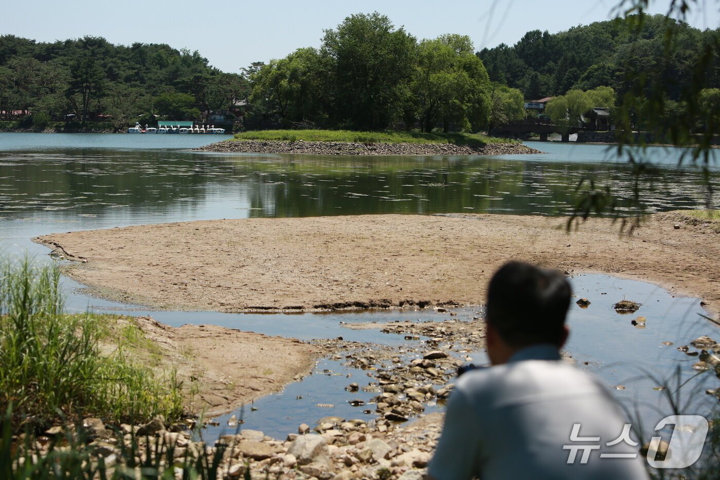 본문 이미지 - 마른 장마와 폭염 등으로 바닥을 드러낸 제천 의림지에서 한 시민이 순주섬을 바라보고 있다.2025.7.10/뉴스1ⓒ News1 손도언 기자  
