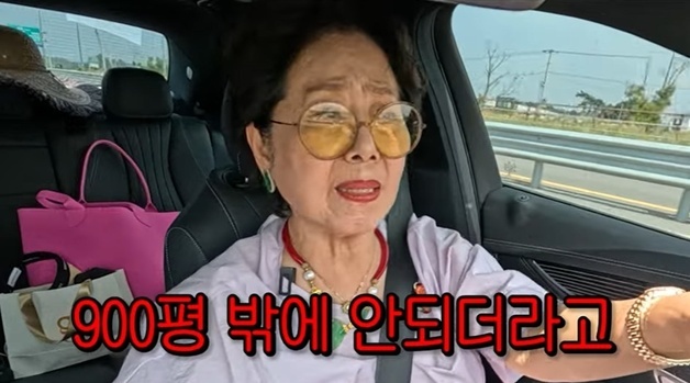 선우용여 "남편이 남긴 땅 900평 찾았다…몇만 평 다 팔아 잡쉈다"