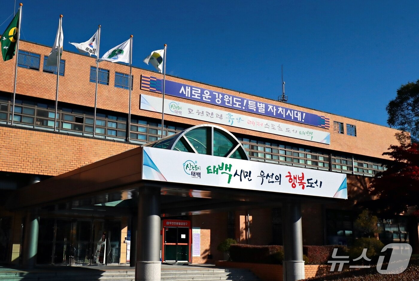 본문 이미지 - 강원 태백시청. &#40;재판매 및 DB금지&#41;/뉴스1