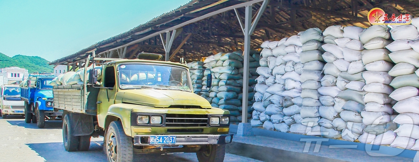 (평양 노동신문=뉴스1) = 북한 노동당 기관지 노동신문은 11일 주요 곡창지대인 평안남도와 평안북도가 "밀·보리 생산계획을 훨씬 초과완수했다"고 보도했다. [국내에서만 사용가능. …