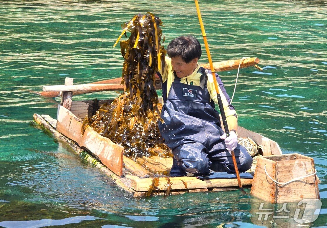 본문 이미지 - 국가중요어업 유산으로 지정된 강릉 창경바리 어업.&#40;강릉시 제공, 재판매 및 DB 금지&#41; 2025.711/뉴스1
